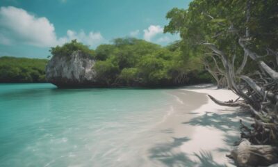 beach oasis in mexico