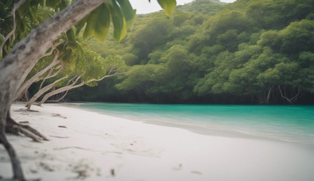 beautiful beach in mexico