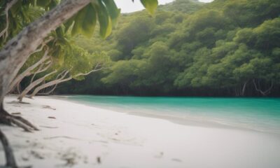 beautiful beach in mexico