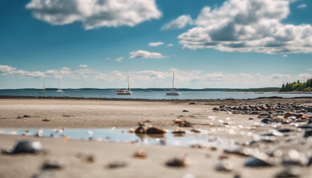 discovering maine s scenic coastline