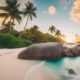 glowing turquoise waters seychelles