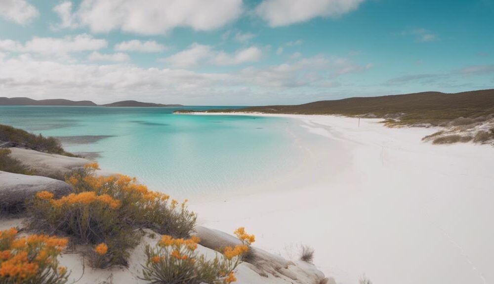 wildlife encounters in lucky bay