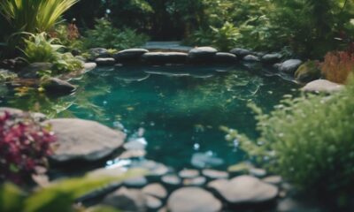 reviving natural pools beautifully