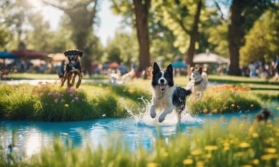 water friendly dog parks nearby