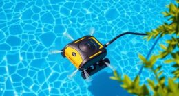 affordable pool cleaner picks