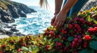 coastal berry foraging safety