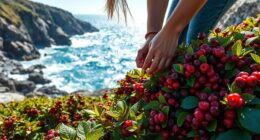 coastal berry foraging safety
