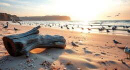 coastal bird watching tips