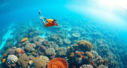 snorkeling reef trail mapping
