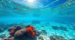 factors influencing underwater visibility