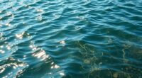heat waves affect water surfaces