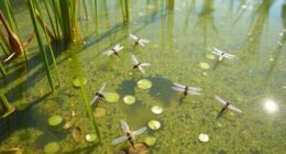 water edge pest control