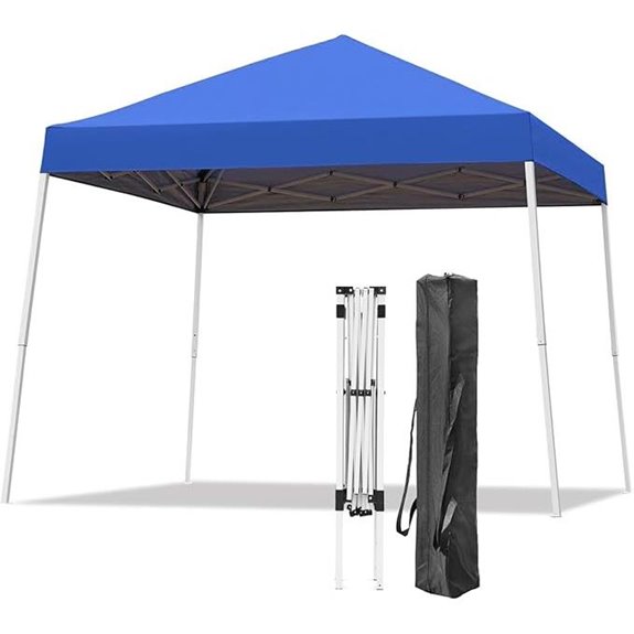 10x10 ft Canopy Tent with Carrying Bag