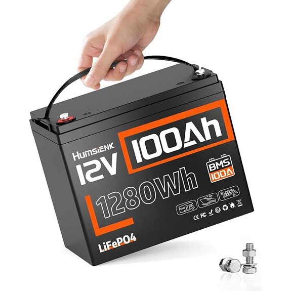 12V 100Ah LiFePO4 Deep Cycle Battery with BMS