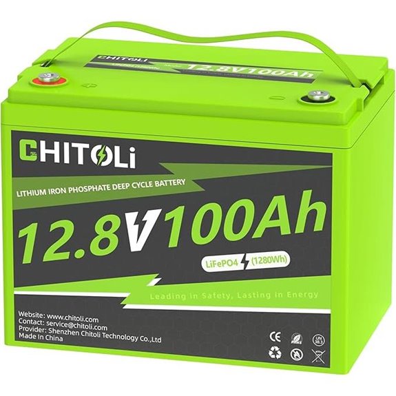 12V 100Ah LiFePO4 Battery with BMS