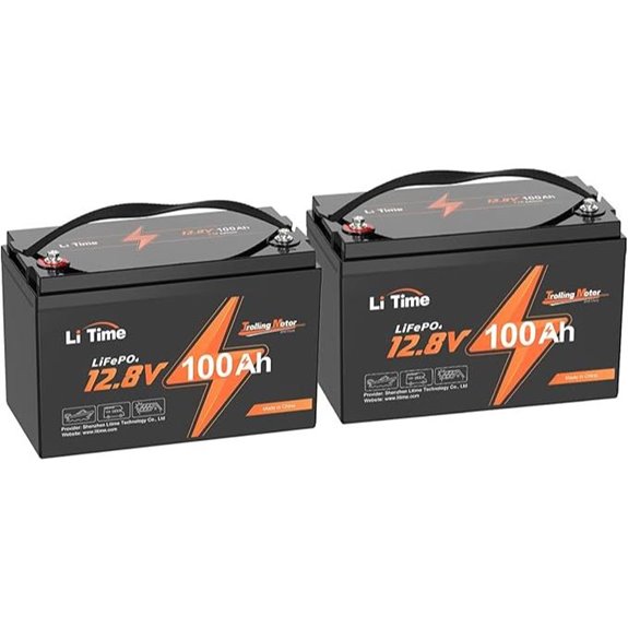 Litime 12V 100Ah LiFePO4 Battery (2-Pack)