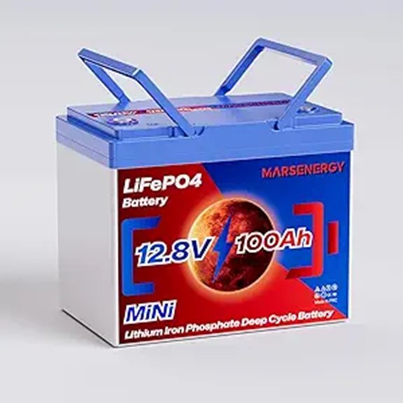 12V 100Ah Lifepo4 Battery with Smart BMS