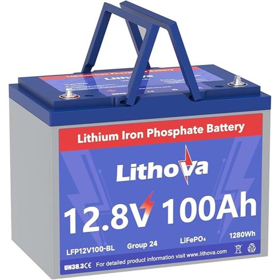 12V 100Ah LiFePO4 Battery with BMS for RV and Solar