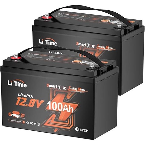 Litime 12V 100Ah Lithium Battery Pack (2-Pack)