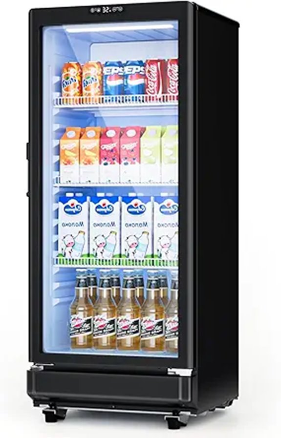 6 Cu.Ft Commercial Beverage Refrigerator with Lock