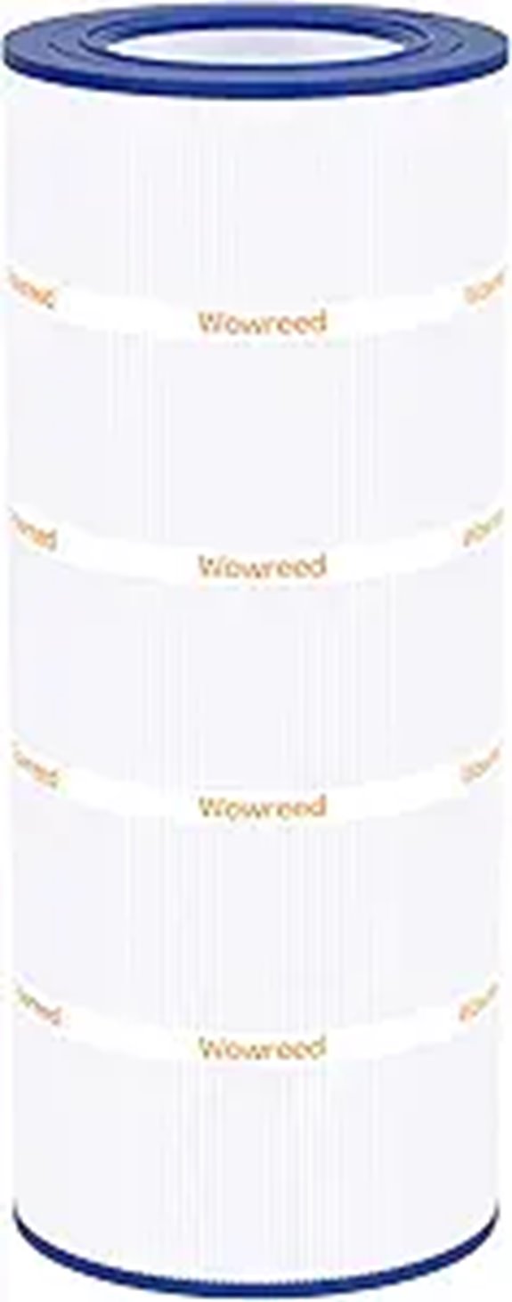Pool Filter Compatible with Clean and Clear 100