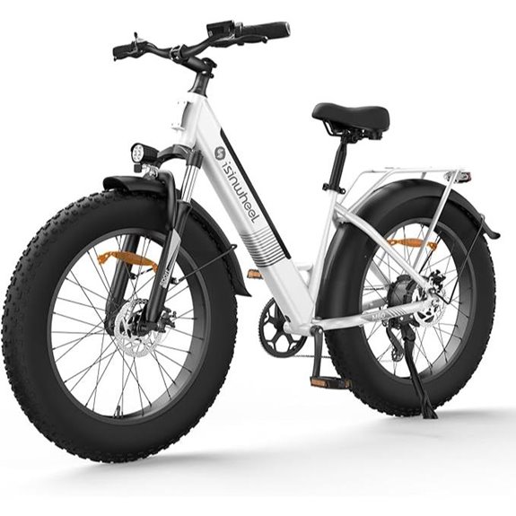 isinwheel M60 Electric Bike 750W 28mph with Removable Battery