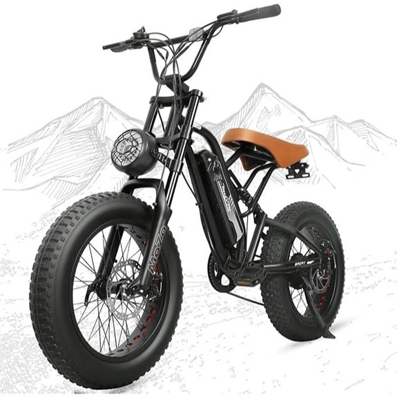 All-Terrain Electric Fat Tire Bike for Adults