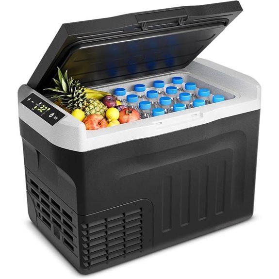 Portable 12V/110V Cooler and Freezer for Camping