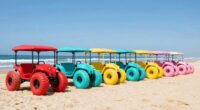 top 15 balloon tire beach wagons