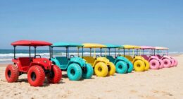 top 15 balloon tire beach wagons