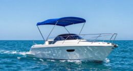 top 15 bimini tops
