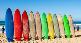 top 15 longboard surfboards