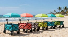 top beach cart picks