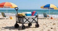 top beach cart recommendations