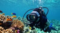 top underwater camera housings