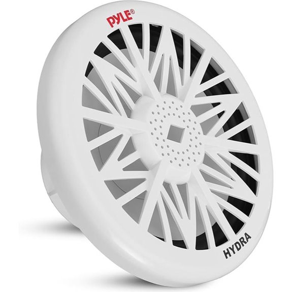 Pyle 10-Inch Waterproof Marine Subwoofer (PLMRW10)