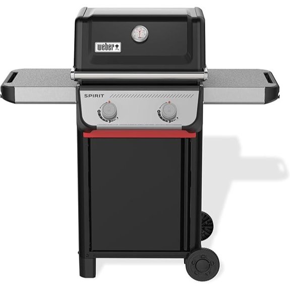 Weber Spirit E-210 Gas Grill 2 Burners