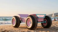top balloon tire beach wagons