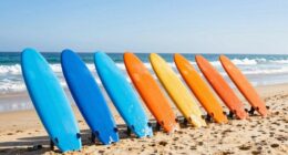 top beginner foil boards