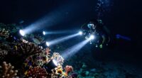 top dive lights for night diving