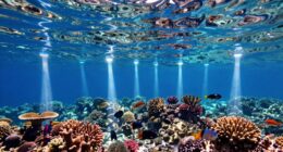 top underwater strobe options