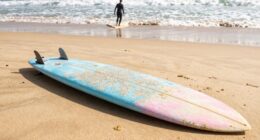 beginner friendly wave riding
