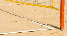 court surface and net height