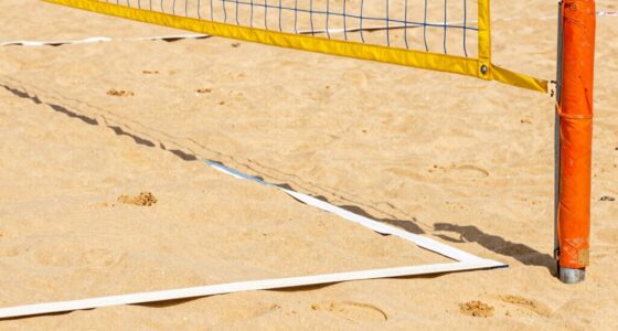 court surface and net height