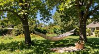 daily outdoor activity routine