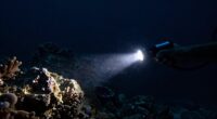essential for night diving