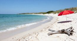 mini beach trip relaxation