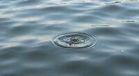 monitoring water texture variations
