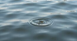 monitoring water texture variations