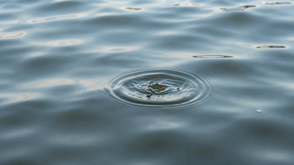 monitoring water texture variations